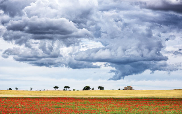 alta murgia national park